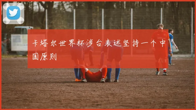 卡塔尔世界杯涉台表述坚持一个中国原则