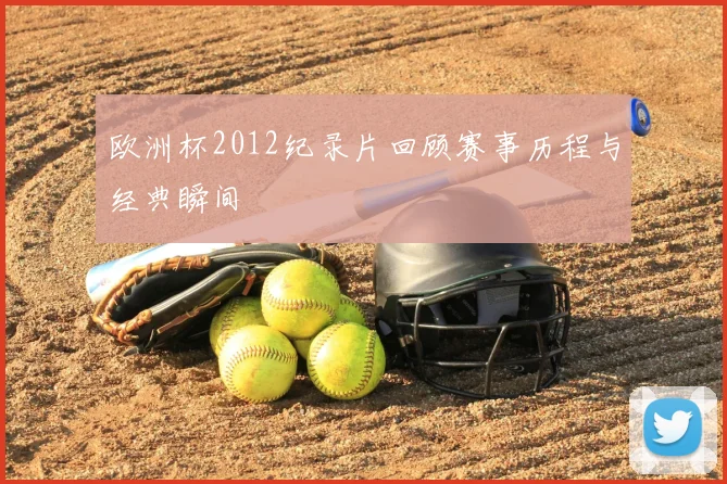 欧洲杯2012纪录片回顾赛事历程与经典瞬间
