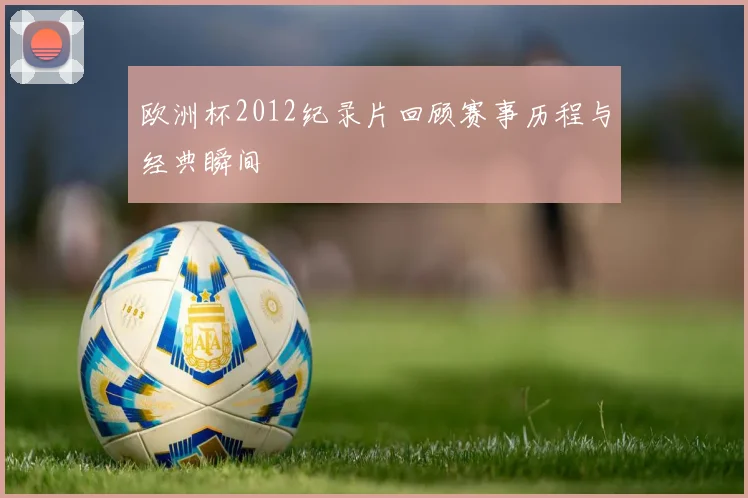 欧洲杯2012纪录片回顾赛事历程与经典瞬间