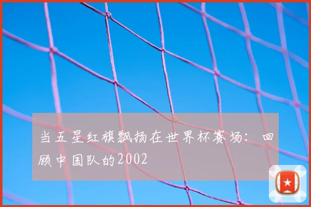 当五星红旗飘扬在世界杯赛场：回顾中国队的2002