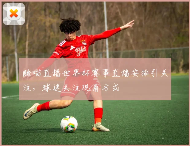 酷喵直播世界杯赛事直播安排引关注，球迷关注观看方式