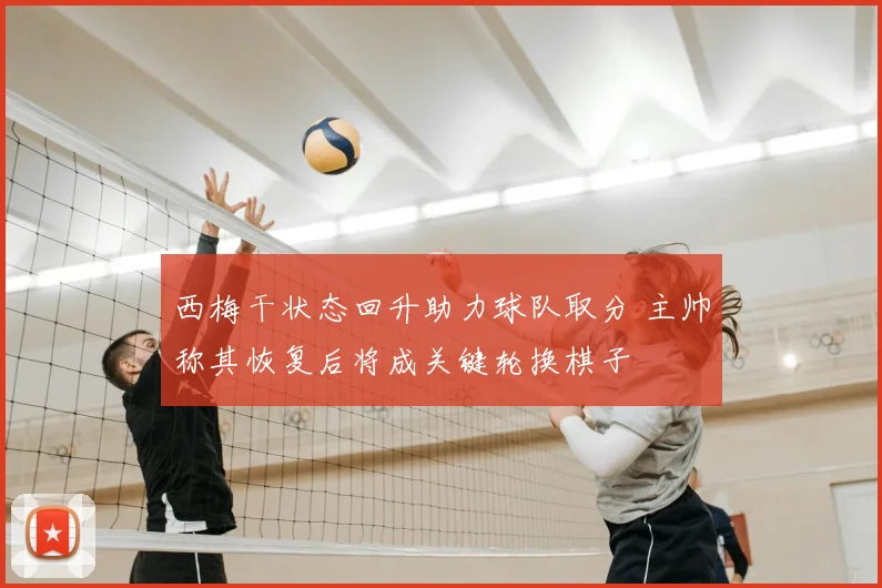 西梅干状态回升助力球队取分 主帅称其恢复后将成关键轮换棋子