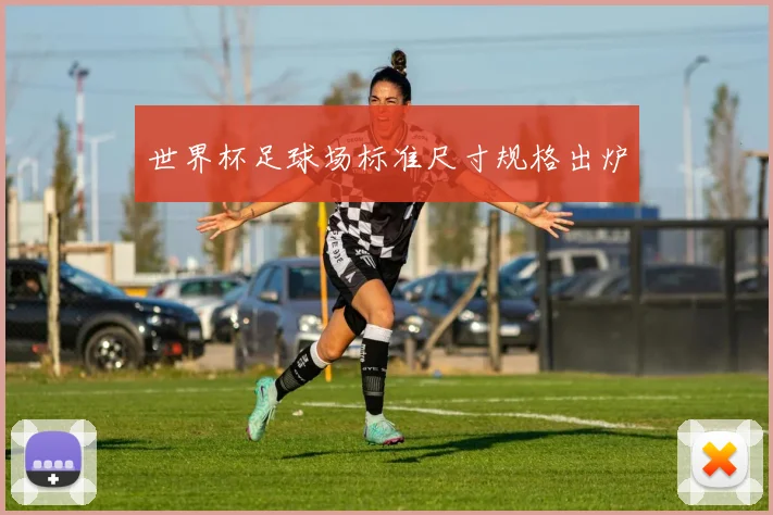 世界杯足球场标准尺寸规格出炉